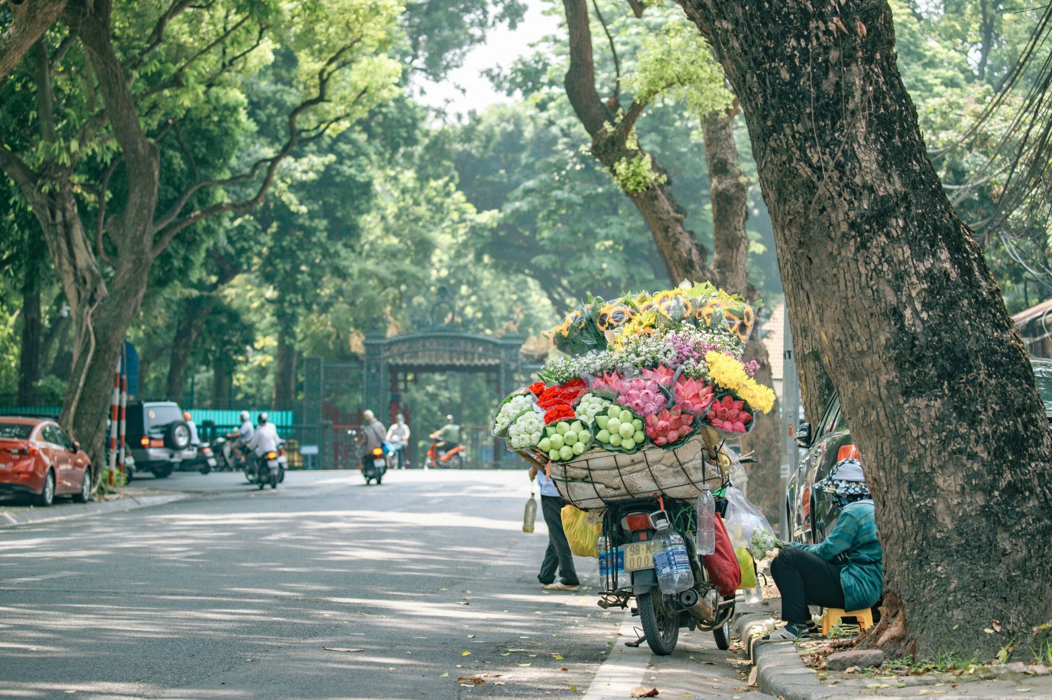 Mùa thu Hà Nội